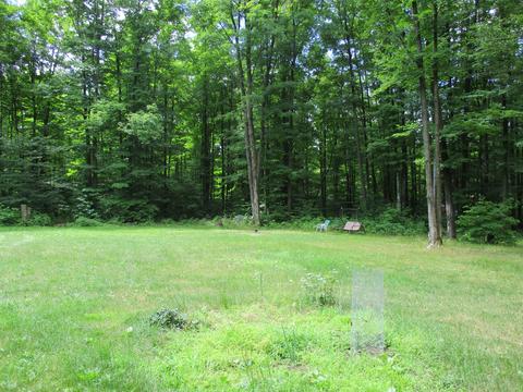 11691 Adisson Trail Frederic Mi 49733 Trl, Frederic, MI 49733 photo 41