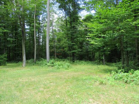 11691 Adisson Trail Frederic Mi 49733 Trl, Frederic, MI 49733 photo 39
