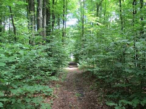 11691 Adisson Trail Frederic Mi 49733 Trl, Frederic, MI 49733 photo 45