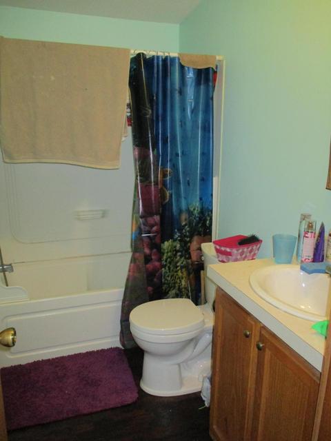 11691 Adisson Trail Frederic Mi 49733 Trl, Frederic, MI 49733 photo 23