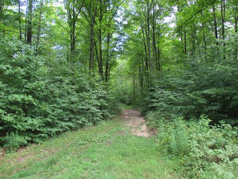 11691 Adisson Trail Frederic Mi 49733 Trl, Frederic, MI 49733 photo 57