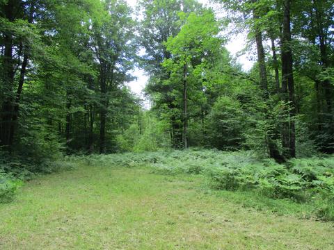11691 Adisson Trail Frederic Mi 49733 Trl, Frederic, MI 49733 photo 49