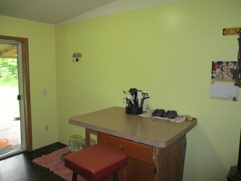 11691 Adisson Trail Frederic Mi 49733 Trl, Frederic, MI 49733 photo 11