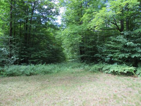 11691 Adisson Trail Frederic Mi 49733 Trl, Frederic, MI 49733 photo 46