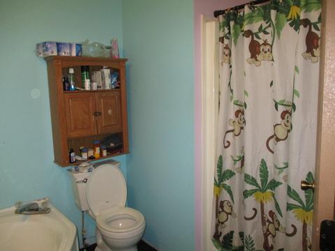 11691 Adisson Trail Frederic Mi 49733 Trl, Frederic, MI 49733 photo 19
