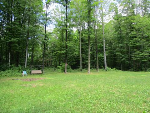 11691 Adisson Trail Frederic Mi 49733 Trl, Frederic, MI 49733 photo 42