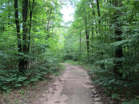 11691 Adisson Trail Frederic Mi 49733 Trl, Frederic, MI 49733 photo 58