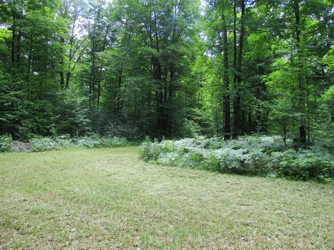 11691 Adisson Trail Frederic Mi 49733 Trl, Frederic, MI 49733 photo 47