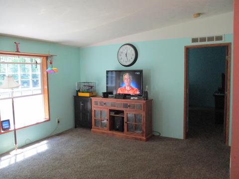 11691 Adisson Trail Frederic Mi 49733 Trl, Frederic, MI 49733 photo 5