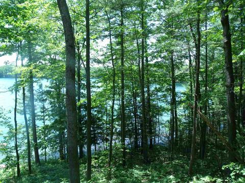 7171 Silver Lake Rd, Wolverine, MI 49799 photo 56