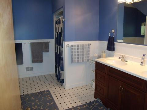 7171 Silver Lake Rd, Wolverine, MI 49799 photo 46