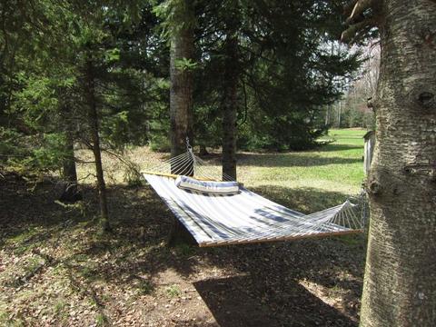 232 Black Bear Trail Grayling Mi 49738 Trl, Grayling, MI 49738 photo 38