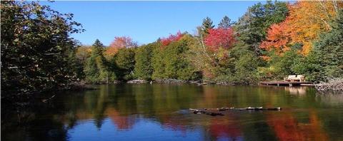 232 Black Bear Trail Grayling Mi 49738 Trl, Grayling, MI 49738 photo 45