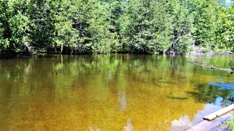 232 Black Bear Trail Grayling Mi 49738 Trl, Grayling, MI 49738 photo 48