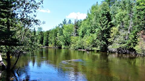 232 Black Bear Trail Grayling Mi 49738 Trl, Grayling, MI 49738 photo 3