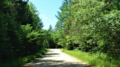 232 Black Bear Trail Grayling Mi 49738 Trl, Grayling, MI 49738 photo 42