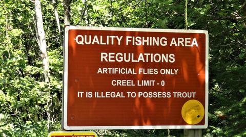 232 Black Bear Trail Grayling Mi 49738 Trl, Grayling, MI 49738 photo 44