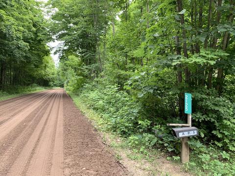 2125 Myrtle Ln, Vanderbilt, MI 49795 photo 11