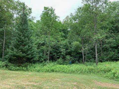 2125 Myrtle Ln, Vanderbilt, MI 49795 photo 4