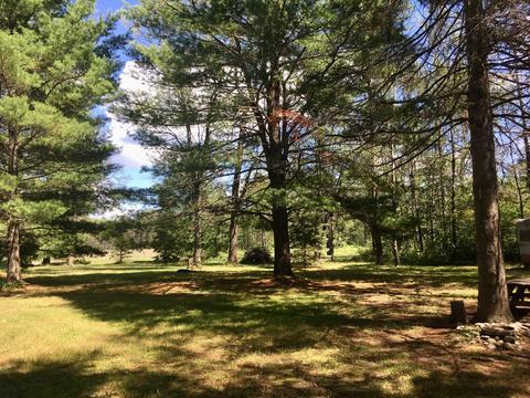 4660 Buttles Road Lewiston Mi 49756 Rd, Lewiston, MI 49756 photo 14