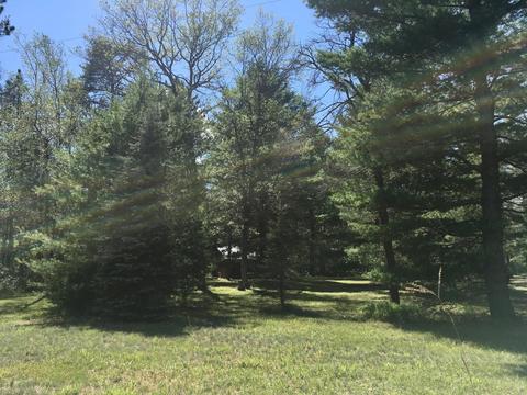 4660 Buttles Road Lewiston Mi 49756 Rd, Lewiston, MI 49756 photo 11