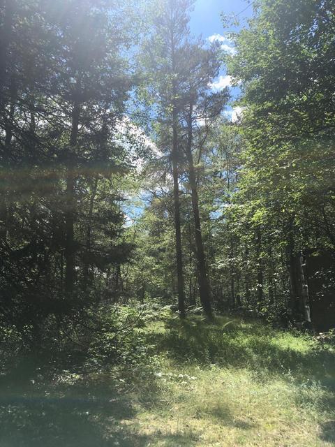 4660 Buttles Road Lewiston Mi 49756 Rd, Lewiston, MI 49756 photo 13