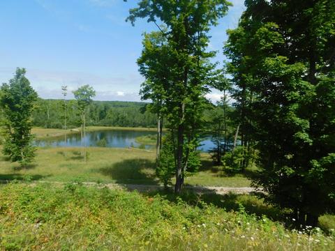 2381 N Mt Tom Rd, Mio, MI 48647 photo 2