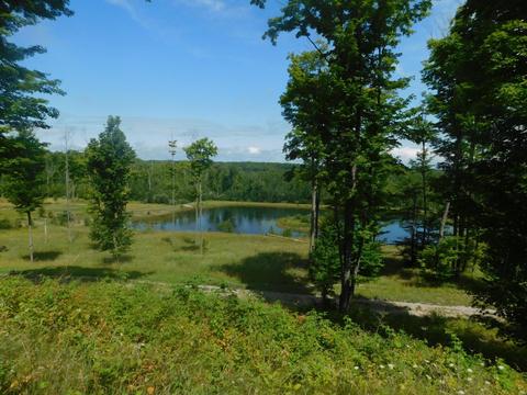 2381 N Mt Tom Rd, Mio, MI 48647 photo 54