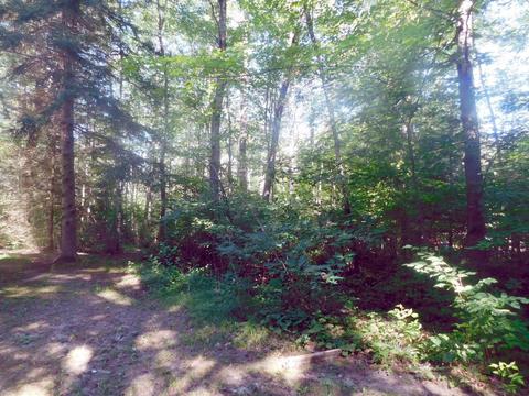 146 S Gerber Rd, Mio, MI 48647 photo 11
