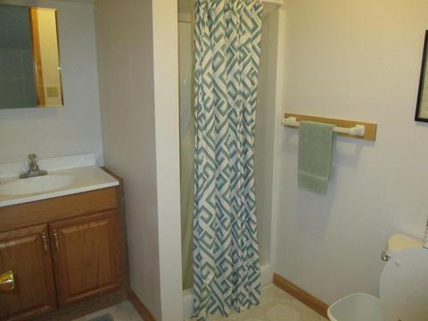 1365 Falcon Ave, Grayling, MI 49738 photo 95