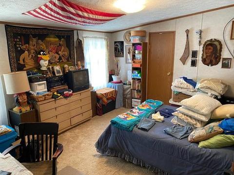 5448 Powers Rd, Alanson, MI 49706 photo 8