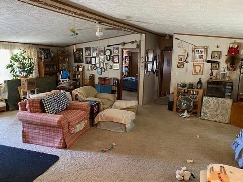 5448 Powers Rd, Alanson, MI 49706 photo 3