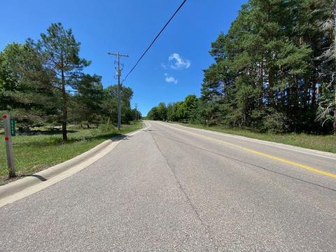 5448 Powers Rd, Alanson, MI 49706 photo 14