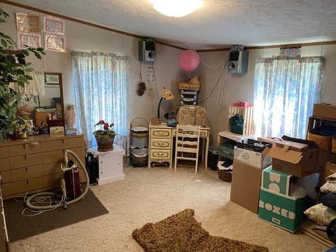 5448 Powers Rd, Alanson, MI 49706 photo 7