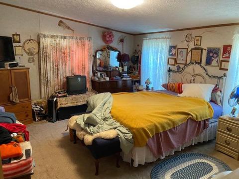 5448 Powers Rd, Alanson, MI 49706 photo 6
