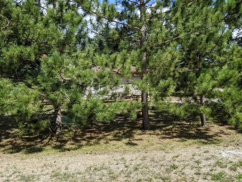 582 Crescent Place Grayling Mi 49738 Pl, Grayling, MI 49738 photo 36