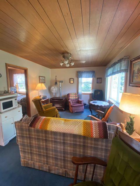 584 E Jackpine Loop, Mio, MI 48647 photo 12