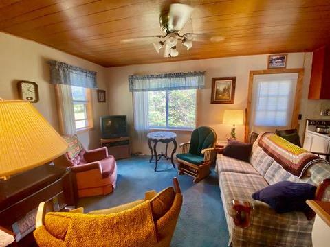 584 E Jackpine Loop, Mio, MI 48647 photo 4