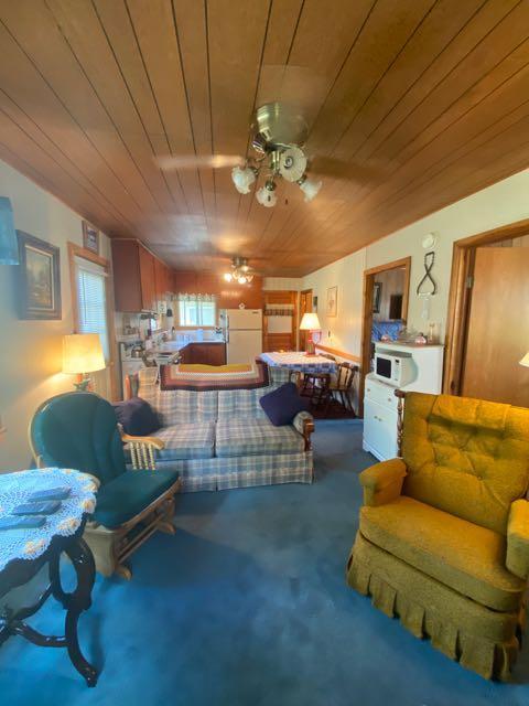 584 E Jackpine Loop, Mio, MI 48647 photo 9