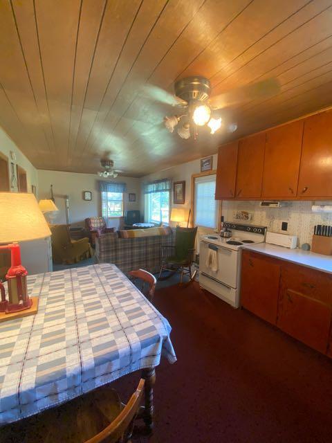 584 E Jackpine Loop, Mio, MI 48647 photo 11