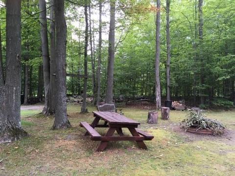 2127 Steiner Rd, Comins, MI 48619 photo 30
