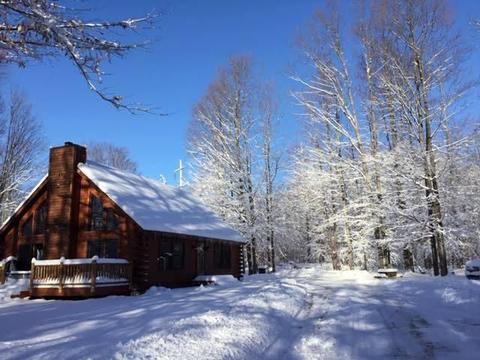 2127 Steiner Rd, Comins, MI 48619 photo 43