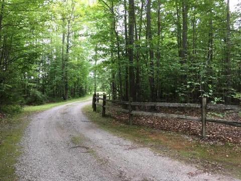 2127 Steiner Rd, Comins, MI 48619 photo 42