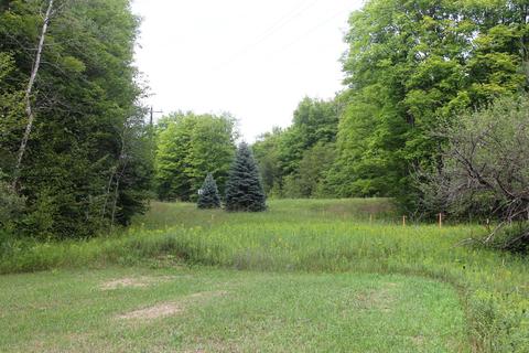 9062 Cameron Bridge Road Frederic Mi 49733 Rd, Frederic, MI 49733 photo 40