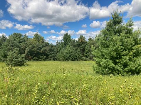 1951 E Mitchell Road Petoskey Mi 49770 Rd, Petoskey, MI 49770 photo 6