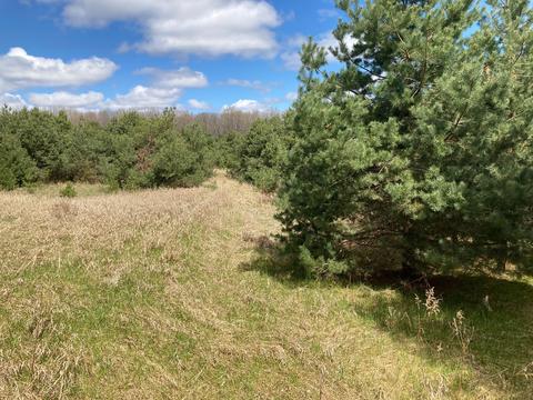 1951 E Mitchell Road Petoskey Mi 49770 Rd, Petoskey, MI 49770 photo 5