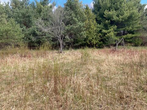 1951 E Mitchell Road Petoskey Mi 49770 Rd, Petoskey, MI 49770 photo 23