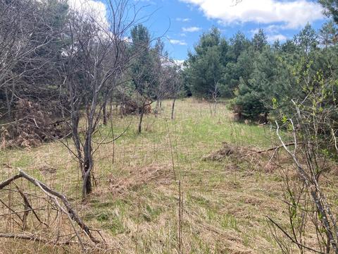 1951 E Mitchell Road Petoskey Mi 49770 Rd, Petoskey, MI 49770 photo 22