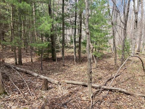 1951 E Mitchell Road Petoskey Mi 49770 Rd, Petoskey, MI 49770 photo 25