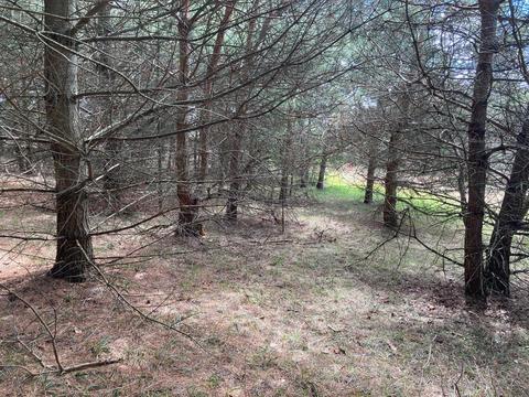 1951 E Mitchell Road Petoskey Mi 49770 Rd, Petoskey, MI 49770 photo 8